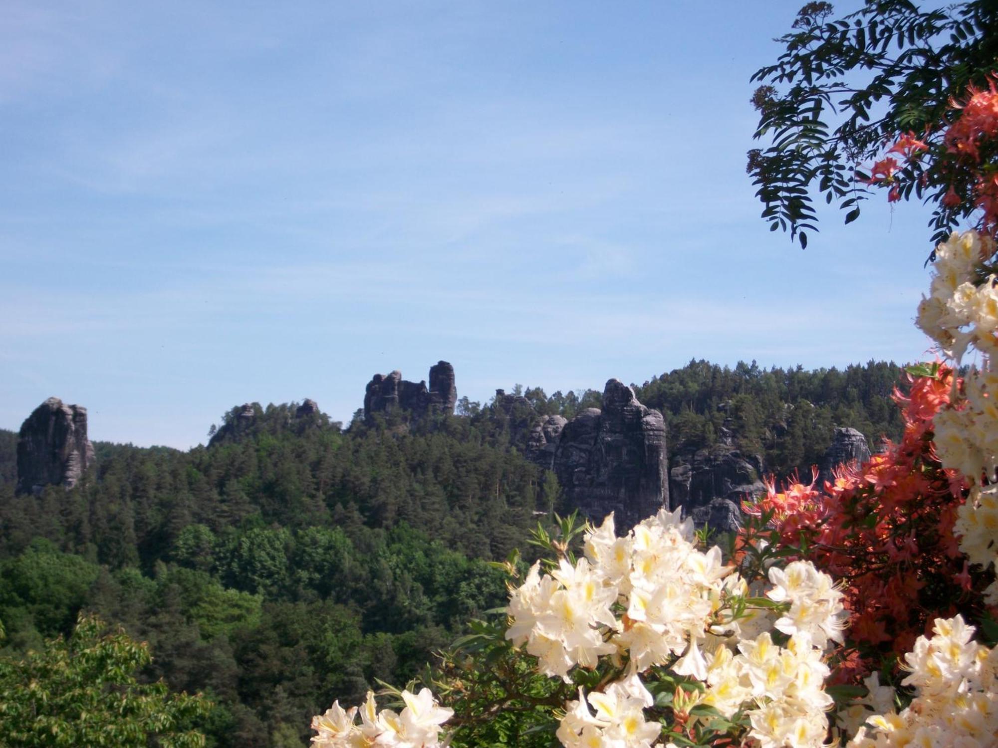 Ferienwohnung Zum Lilienstein Bad Schandau Exterior foto